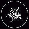 SITE_052.gif