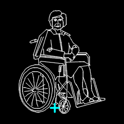 PERS_disabled_002.gif
