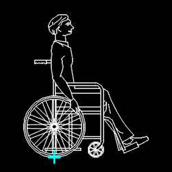 PERS_disabled_003.gif
