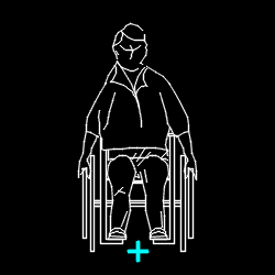 PERS_disabled_004.gif