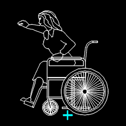 PERS_disabled_005.gif