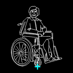 PERS_disabled_010.gif