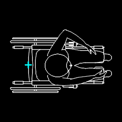 PERS_disabled_017.gif