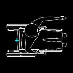 PERS_disabled_018.gif