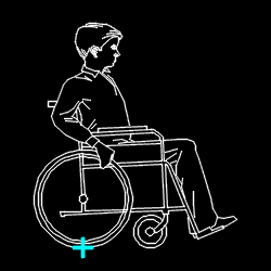 PERS_disabled_021.gif