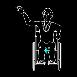 PERS_disabled_027.gif