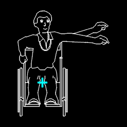 PERS_disabled_029.gif