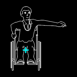 PERS_disabled_030.gif