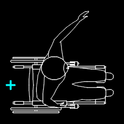 PERS_disabled_044.gif